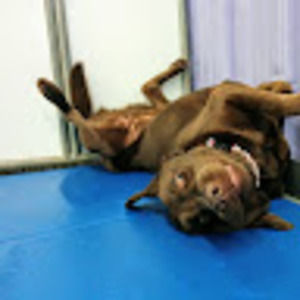 Meet your Posher, Greg